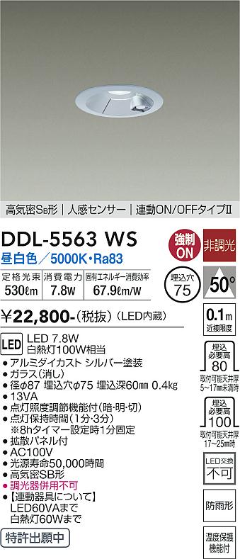 安心のメーカー保証【インボイス対応店】屋外灯 ダウンライト DDL-5563WS LED  大光電機の画像