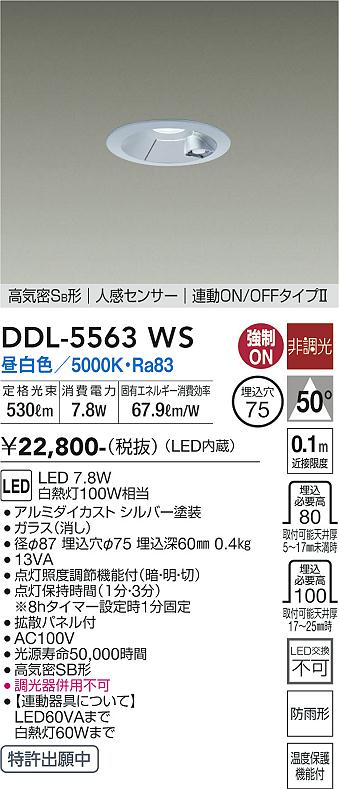 安心のメーカー保証【インボイス対応店】屋外灯 ダウンライト DDL-5563WS LED  大光電機画像