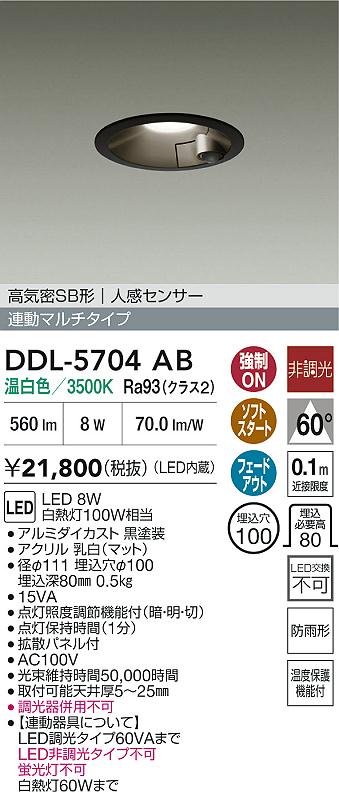安心のメーカー保証【インボイス対応店】屋外灯 ダウンライト DDL5704AB LED  大光電機の画像