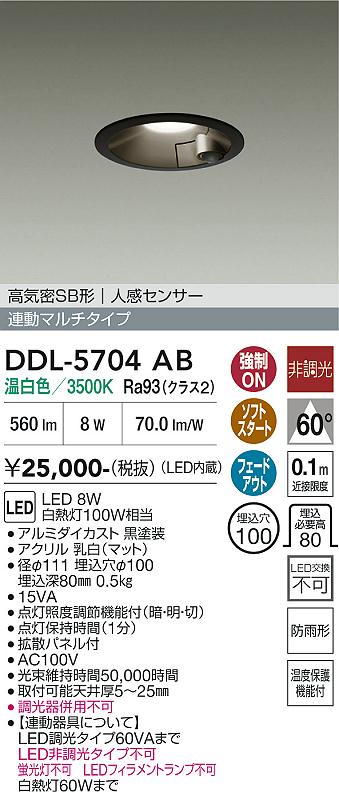 安心のメーカー保証【インボイス対応店】屋外灯 ダウンライト DDL5704AB LED  大光電機の画像