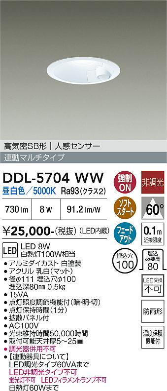 安心のメーカー保証【インボイス対応店】屋外灯 ダウンライト DDL5704WW LED  大光電機の画像