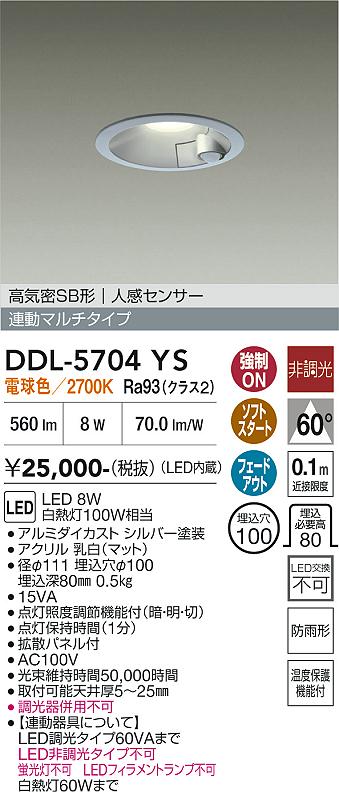 安心のメーカー保証【インボイス対応店】屋外灯 ダウンライト DDL5704YS LED  大光電機の画像