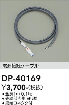安心のメーカー保証【インボイス対応店】屋外灯 その他屋外灯 DP40169 ケーブル  大光電機の画像