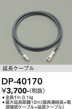 安心のメーカー保証【インボイス対応店】屋外灯 その他屋外灯 DP40170 ケーブル  大光電機の画像