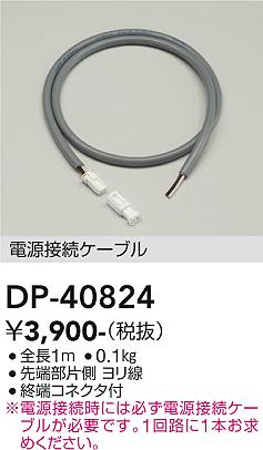 安心のメーカー保証【インボイス対応店】屋外灯 その他屋外灯 DP40824 電源接続ケーブル  大光電機の画像