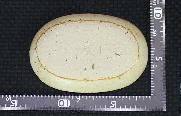 土灰プチボール(小) 仲田製陶 笠間焼の画像