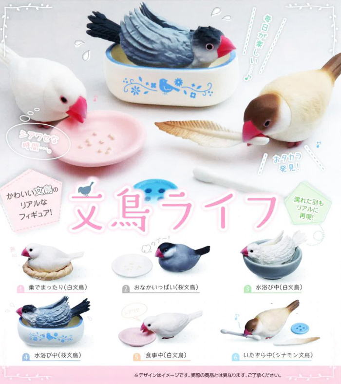 文鳥ライフ 全6種コンプリートセット ターリン・インターナショナル カプセルトイ ガチャガチャ ガシャポン ガチャポン 【新品同様品】の画像
