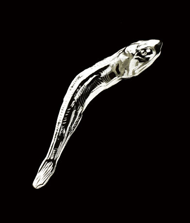 メタルナニボシ 全5種コンプリートセット キタンクラブ カプセルトイ ガチャガチャ ガシャポン ガチャポン 【新品同様品】の画像