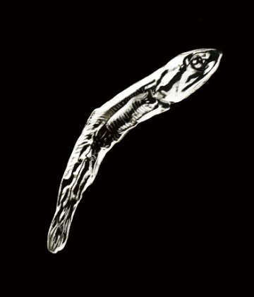 メタルナニボシ 全5種コンプリートセット キタンクラブ カプセルトイ ガチャガチャ ガシャポン ガチャポン 【新品同様品】の画像