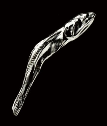 メタルナニボシ 全5種コンプリートセット キタンクラブ カプセルトイ ガチャガチャ ガシャポン ガチャポン 【新品同様品】の画像