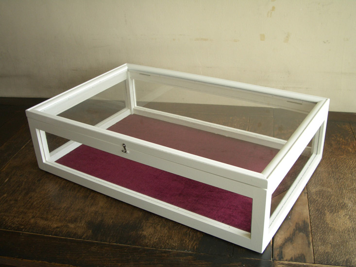 五面ガラスケース 3LWの画像