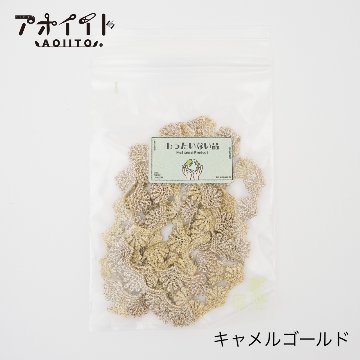 【M501】もったいない品｜貝殻柄の刺繍レースの画像