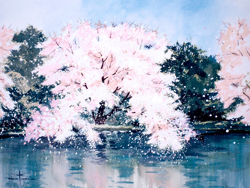 画集：光はきらきらと踊るの画像