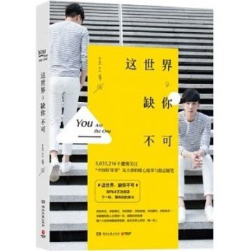 小説/ 這世界，缺你不可（エッセイ）中国版　呉大偉　David Wu　DvWoooooの画像