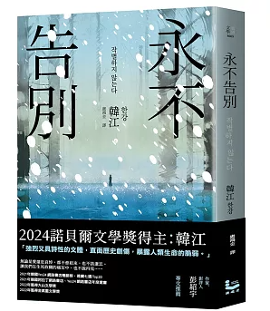 小説/ 永不告別 台湾版　別れを告げない　韓江　ハン・ガン　台湾書籍の画像