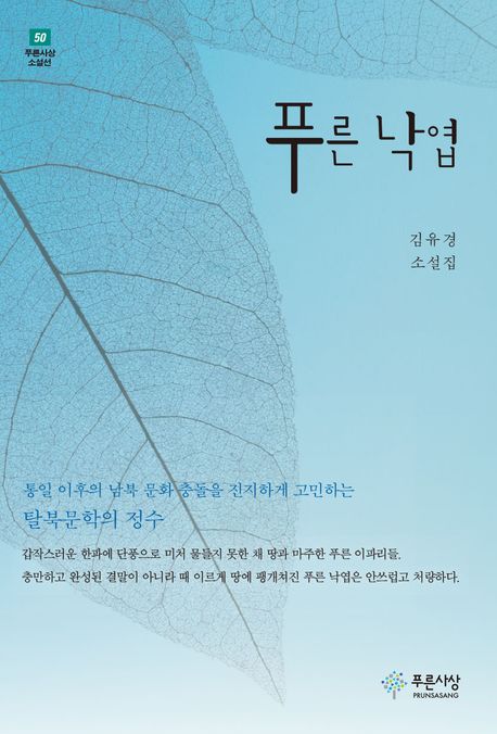 小説/青い落ち葉　韓国版　キム・ユギョン　韓国書籍の画像