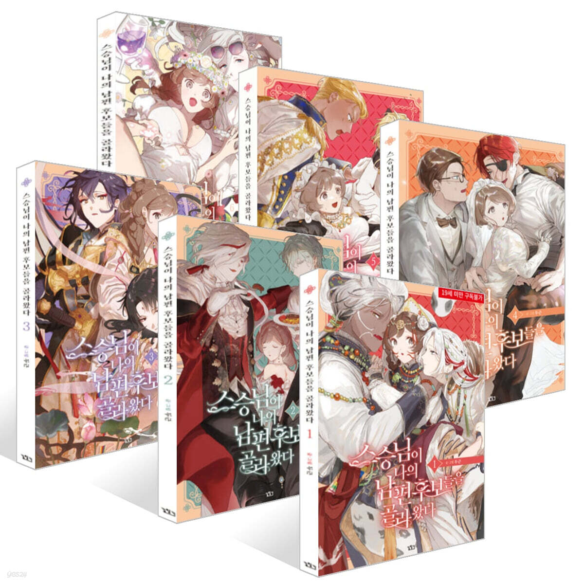 漫画/師匠が私の夫候補を選んできた＜全6冊セット＞　韓国版　ドキ　韓国書籍の画像