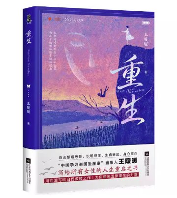 重生 中国版 王暖暖 中国人女性がタイで夫に突き落とされた事件 国際的殺人未遂事件 王暖暖事件 中国書籍の画像