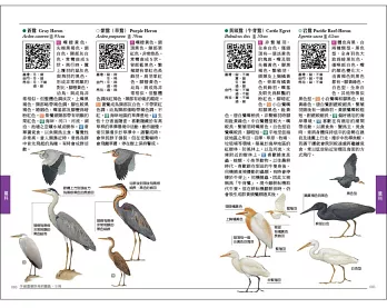 図鑑/ 手繪臺灣野鳥新圖鑑：水鳥 台湾版 台湾書籍の画像
