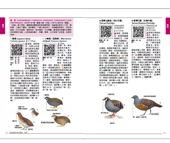 図鑑/ 手繪臺灣野鳥新圖鑑：陸鳥 台湾版 台湾書籍の画像