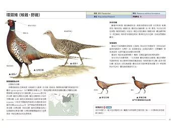 図鑑/ 台灣特有鳥類手繪圖鑑 台湾版 台湾書籍の画像