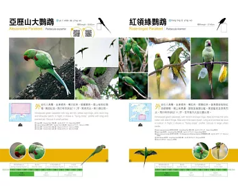 図鑑/ 觀鳥系列02：香港觀鳥全圖鑑 香港版 台湾書籍の画像