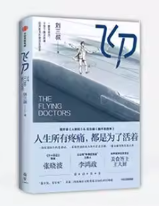 ドラマ小説/ 飞刀 中国版 刘三叔　小城良方　中国書籍の画像