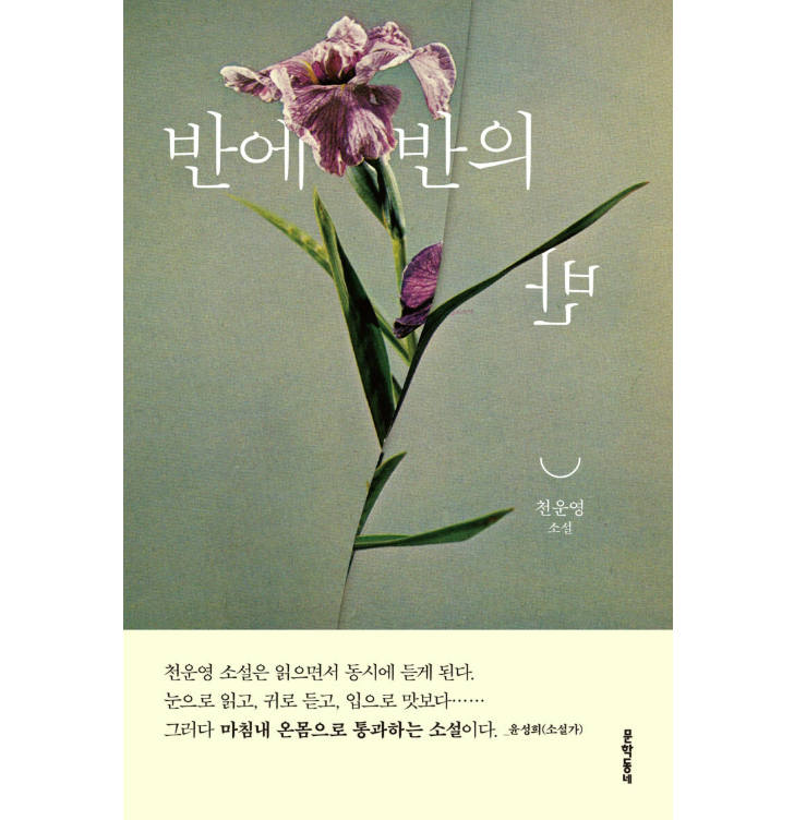 小説/半分の半分の半分　韓国版　チョン・ウニョン　韓国書籍の画像
