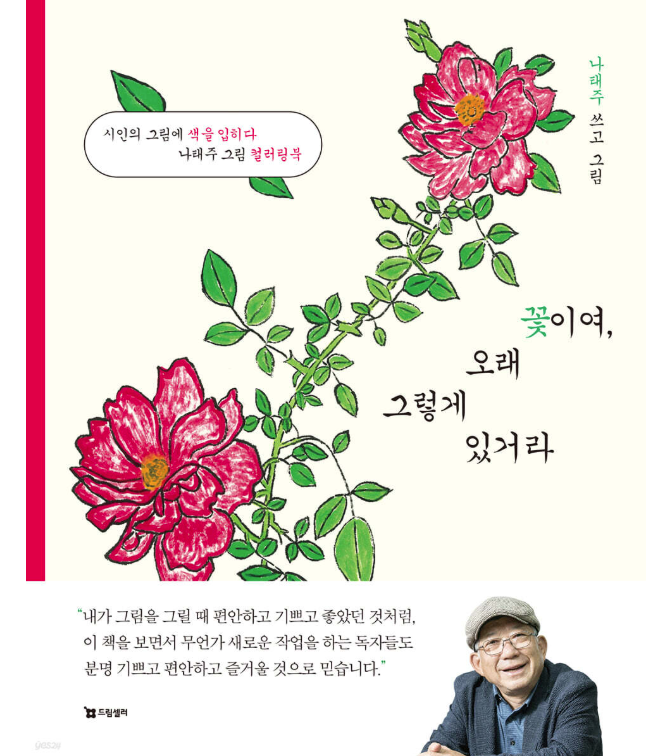 ぬり絵/花よ、長くそうしていなさい＜バラ版＞　韓国版　ナ・テジュ　癒やしの詩人ナ・テジュの塗り絵ブック　花よ、いつまでもそのままで　韓国書籍の画像