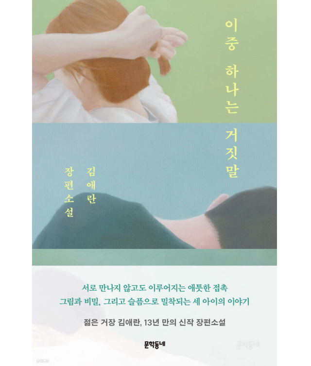 小説/どれか一つは嘘 韓国版 キム・エラン　韓国書籍の画像
