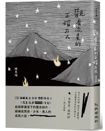 小説/ 觀看流星的正確方式 台湾版 鍾旻瑞 原作小説 台湾文学 台湾書籍の画像