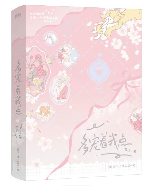 小説/ 多宠着我点 中国版　竹已　中国書籍の画像