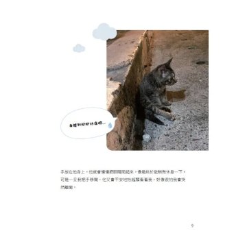 フォト＆ストーリーブック/ 麻吉太郎，可愛是一種超能力 台湾版 猫 捏捏 癒し系 ペットインフルエンサー 阿吉 米爹 台湾書籍の画像