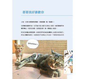 フォト＆ストーリーブック/ 麻吉太郎，可愛是一種超能力 台湾版 猫 捏捏 癒し系 ペットインフルエンサー 阿吉 米爹 台湾書籍の画像