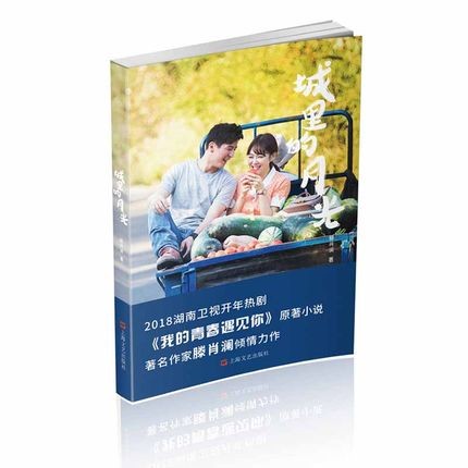 ドラマ小説/ 城里的月光 中国版　Flipped in My Youth　我的青春遇見你　Moonlight at cityの画像