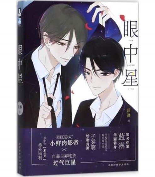 小説/ 眼中星(1) 中国版　耽美 BL 藍淋の画像