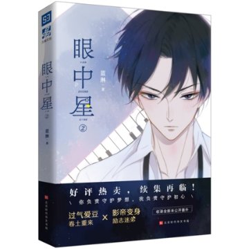 小説/ 眼中星(2) 中国版　耽美 BL 藍淋の画像