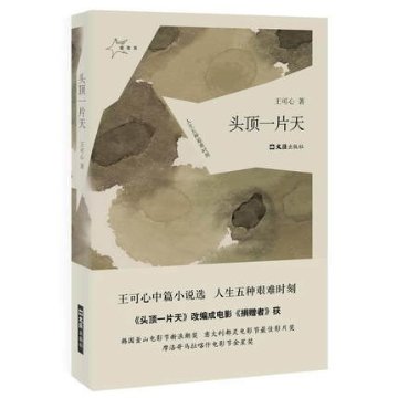 映画小説/ 頭頂一片天 中国版　王可心　捐贈者　The Doner　再生の朝に ?ある裁判官の選択?の画像