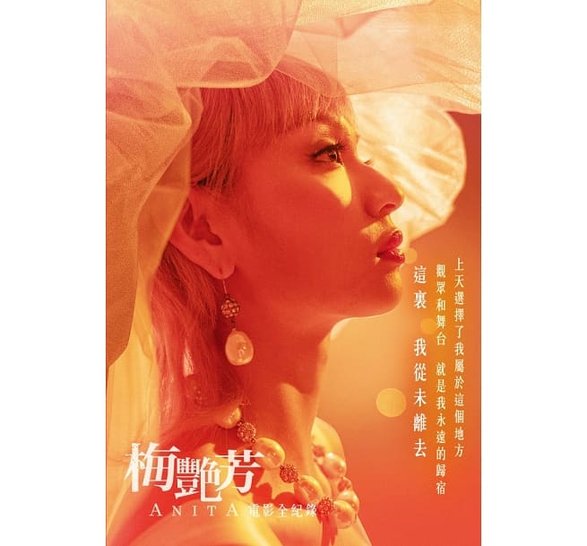 映画ガイド/ 梅艷芳ANITA：電影全紀録　台湾版　アニタ・ムイの画像