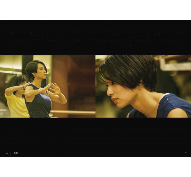 映画ガイド/ 梅艷芳ANITA：電影全紀録　台湾版　アニタ・ムイの画像