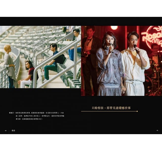 映画ガイド/ 梅艷芳ANITA：電影全紀録　台湾版　アニタ・ムイの画像