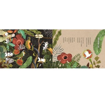 絵本/ 貓咪的奇幻旅程 台湾版 猫小姐 ネコ ねこの画像