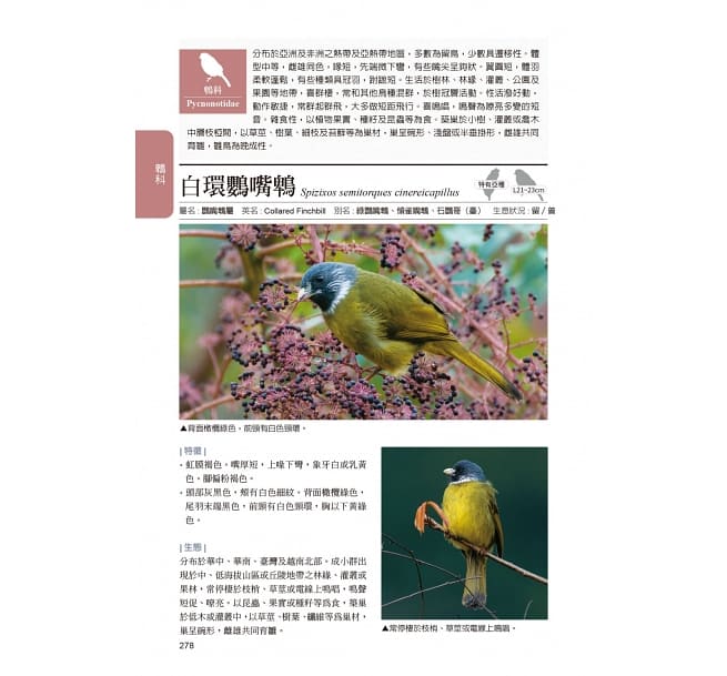 図鑑/ 臺灣野鳥圖鑑 陸鳥篇＜增訂版＞台湾版　台湾野鳥図鑑 陸鳥編 増訂版の画像