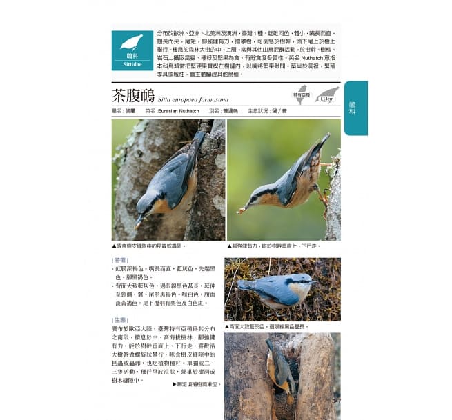図鑑/ 臺灣野鳥圖鑑 陸鳥篇＜增訂版＞台湾版　台湾野鳥図鑑 陸鳥編 増訂版の画像