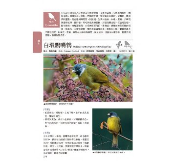 図鑑/ 臺灣野鳥圖鑑 陸鳥篇＜增訂版＞台湾版　台湾野鳥図鑑 陸鳥編 増訂版の画像