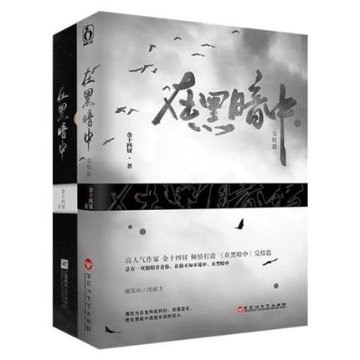 ドラマ小説/ 在黒暗中（全二冊） 中国版 金十四釵 逆光者の画像