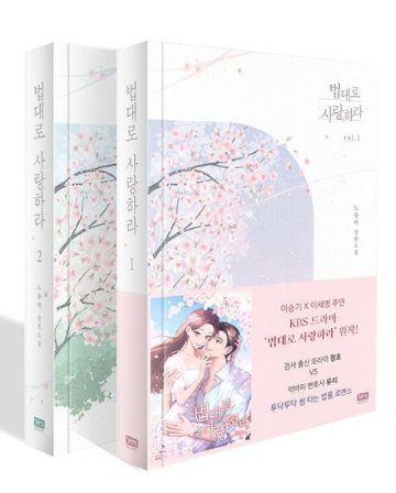 小説/法に従って愛せ＜全2冊セット＞韓国版　ノ・スンアの画像