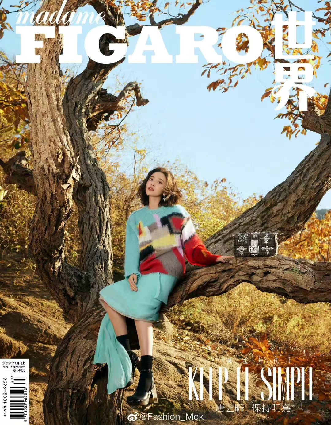 雑誌/ Madame FIGARO 費加羅雜志 2022年11月 中国版　唐藝昕（タン・イーシン）：表紙二種類ランダム発送！記事掲載！ マダムフィガロ　中国雑誌の画像