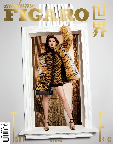 【メール便送料無料】雑誌/ Madame FIGARO Hommes 費加羅雜志 2022年11月 中国版　王霏霏（Fei/ワン・フェイフェイ）：表紙！記事掲載！ マダムフィガロ オム　中国雑誌の画像