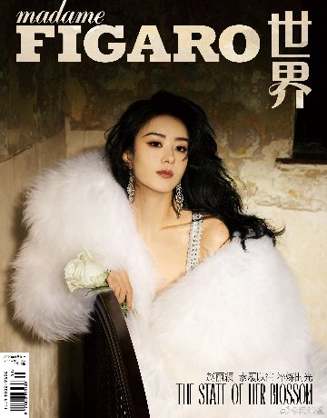 【メール便送料無料】雑誌/ Madame FIGARO 費加羅雜志 2023年1月 中国版　趙麗穎（チャオ・リーイン）：表紙三種類ランダム発送！記事掲載！ マダムフィガロ　中国雑誌の画像